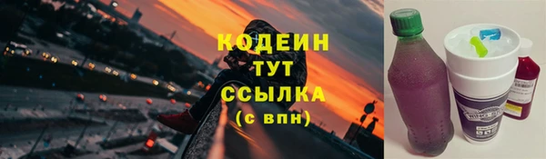 бошки Осинники