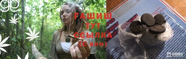 крисы Аркадак