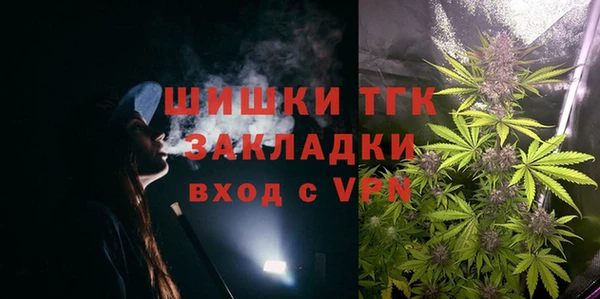 сатива Балахна