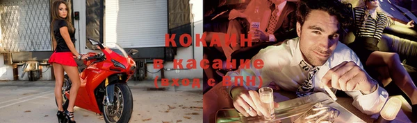 сатива Балахна