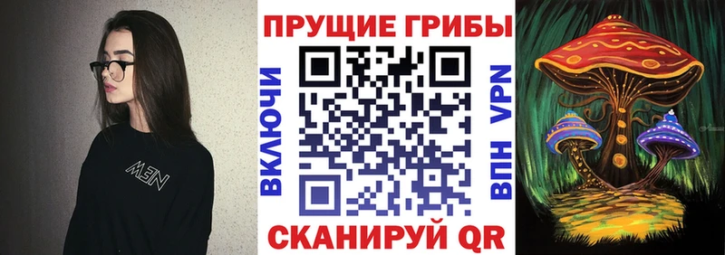 как найти   Октябрьск  Галлюциногенные грибы ЛСД 